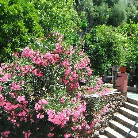 Апартаменты Dimitris