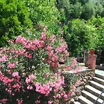 Lejlighed Dimitris