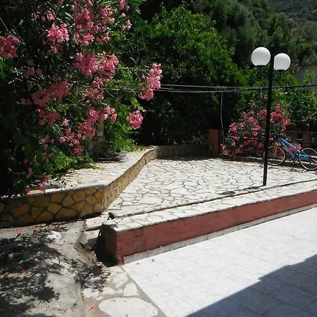 Dimitris * Βασιλική