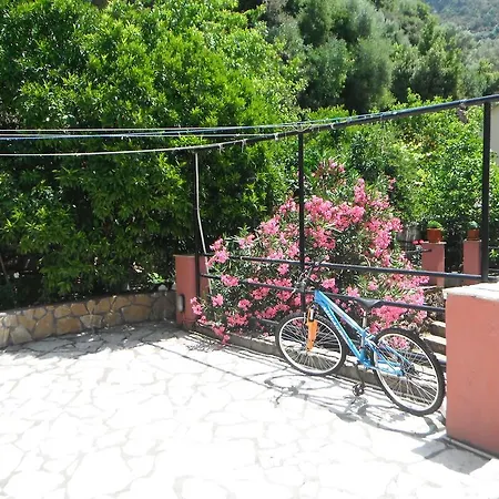 Dimitris
