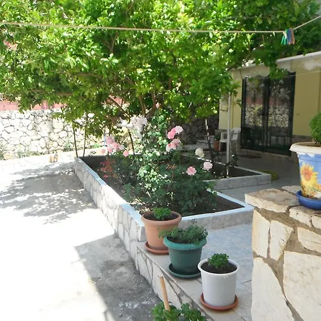 Dimitris Βασιλική