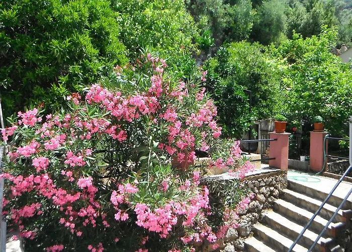 Appartement Dimitris