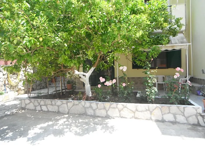 Appartement Dimitris Vasiliki